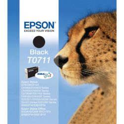 Epson Giraffe T0711H DURABrite Ultra Ink, High Yield Ink Cartridge, Black Twin Pack, C13T07114H10 (package 2 each)